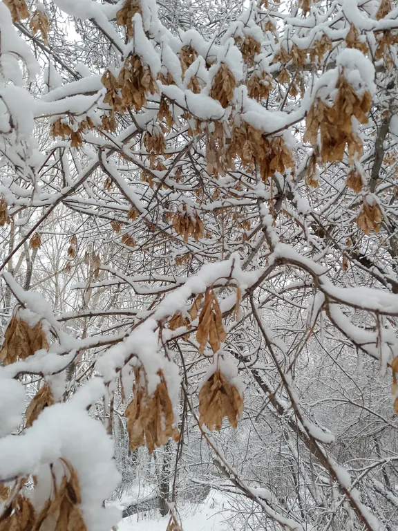 Большой дом с камином и новой баней
