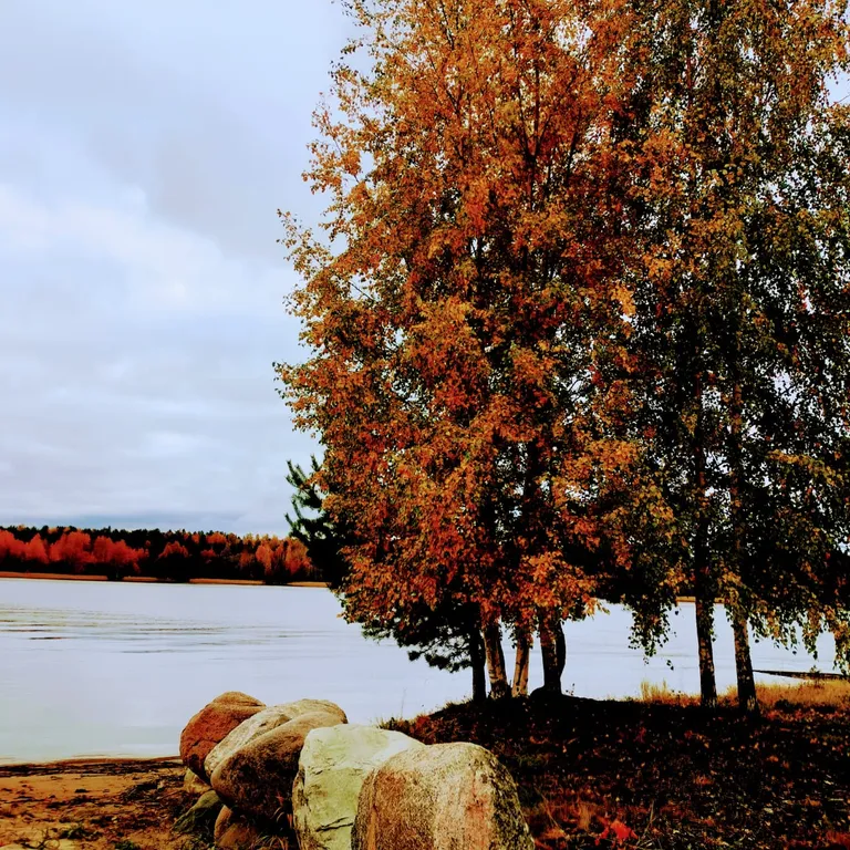 Дом в Карелии на берегу Онежского озера