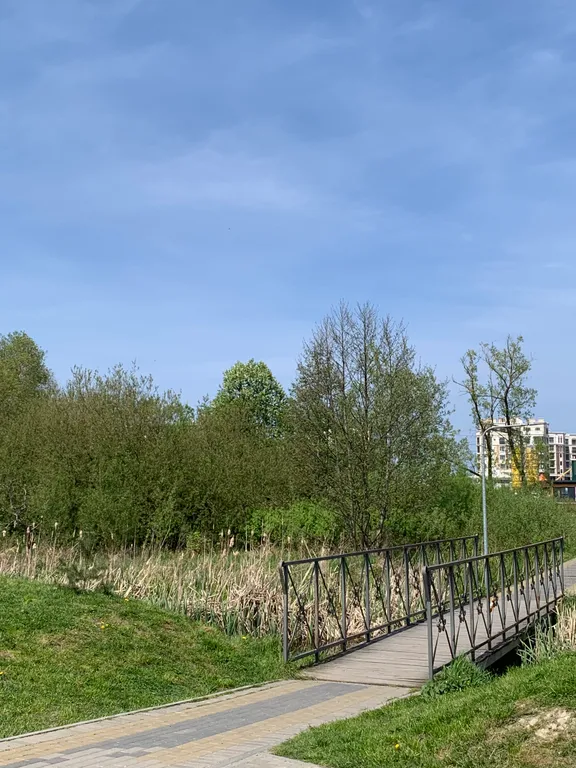 Квартира Уютная квартира — Зеленоградск