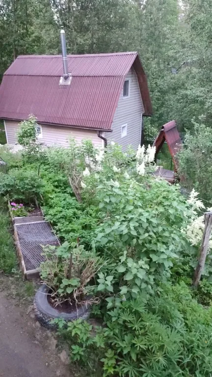 Дом в деревне Харлу, 30 км от Сортавала