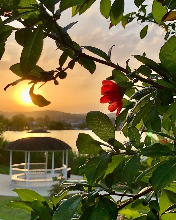 Квартира Уютная квартира на озере — Горячий Ключ