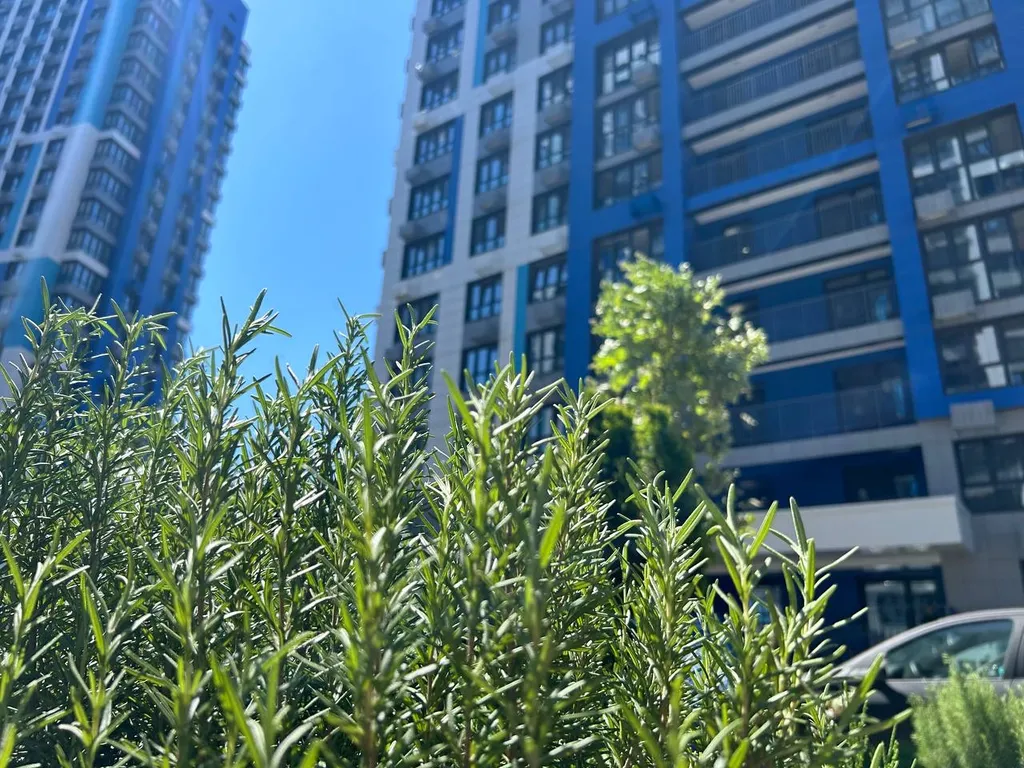 Стильная студия в ЖК бизнес-класса Босфор