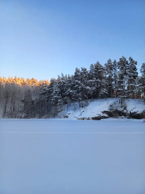 Небольшой дом на острове