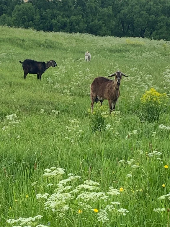 Дом для отдыха