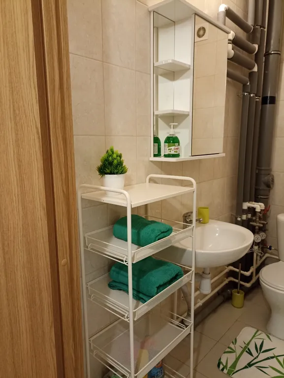 Квартира Квартира Уютная студия у НИИ имени Петрова с бесконтактным заселением — Песочный