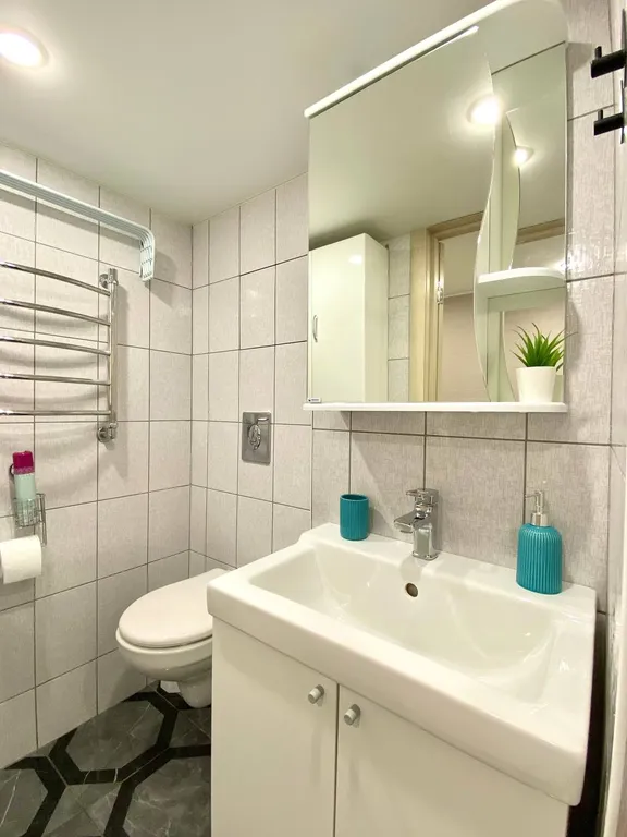 Уникальные апартаменты с выходом на кровлю ТЦ Галерея