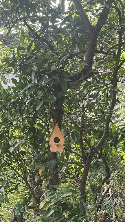 Домик в центре города под ключ