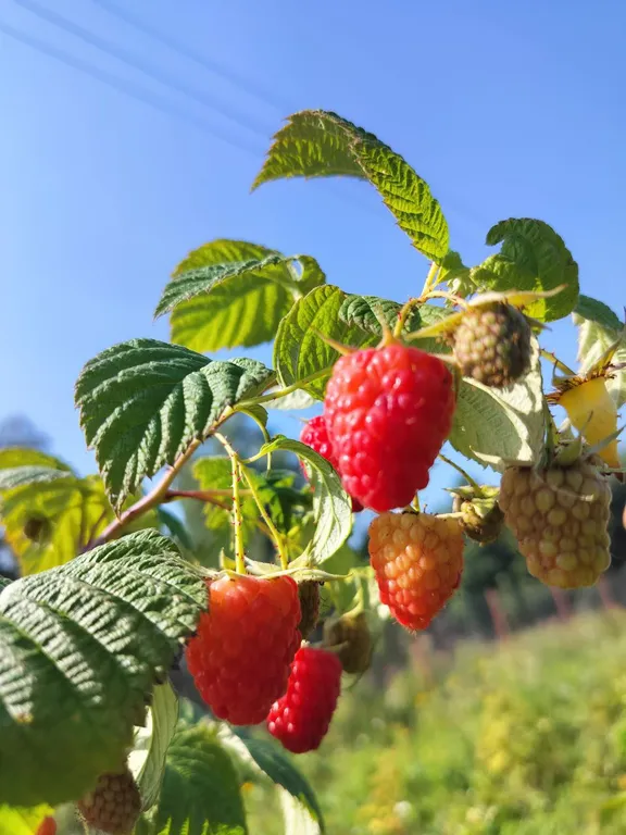 Уникальная современная юрта с максимальными удобствами