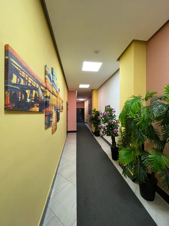 Арт Хауз евродвушка