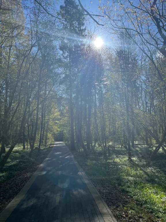 Квартира Уютная квартира у моря — Светлогорск