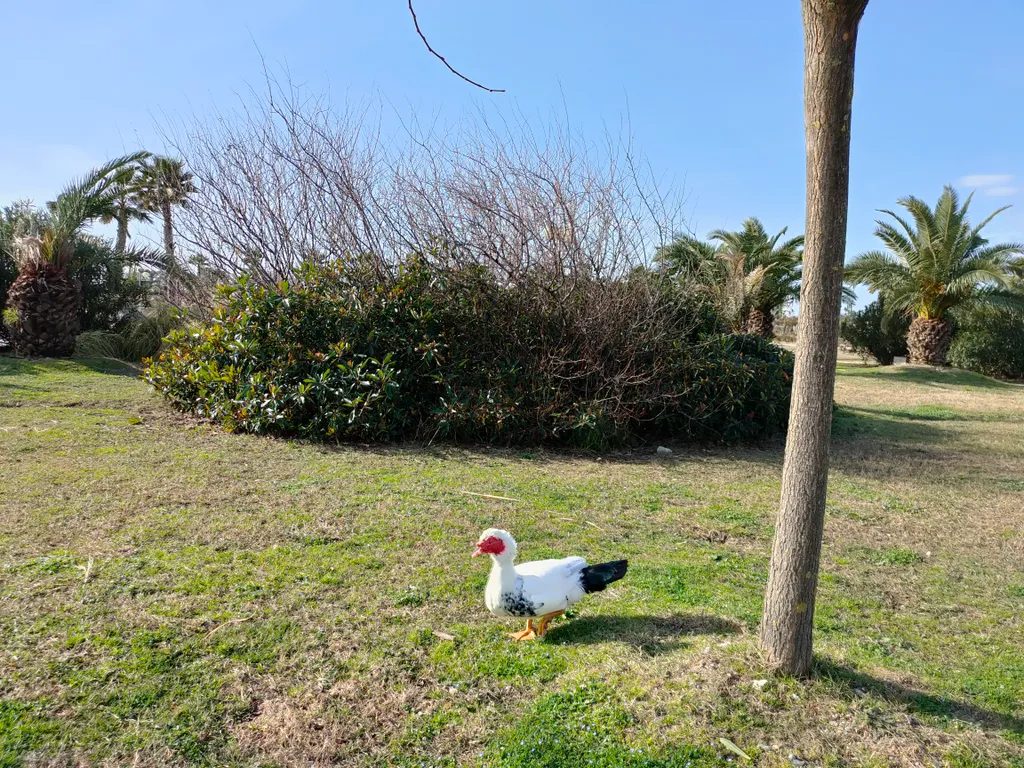 Апартаменты Магнолия