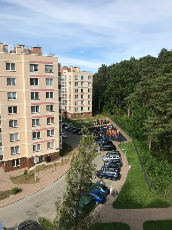 Апартаменты с видом на лес