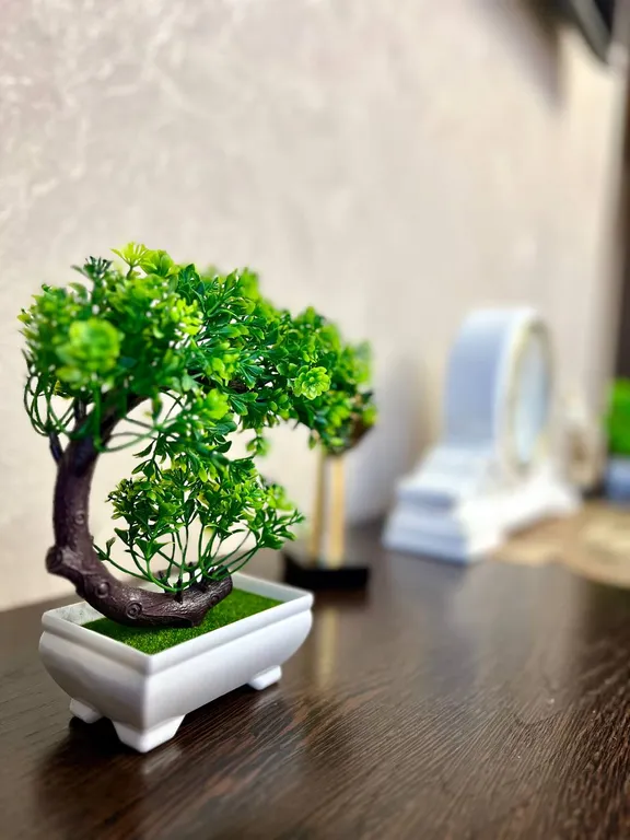 Светлая и уютная квартира с Sony playstation  в центре города