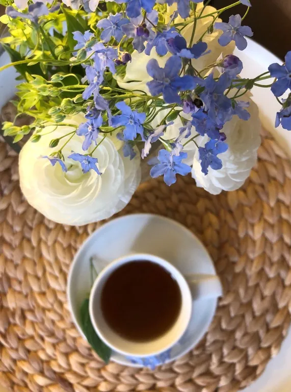 Дом у реки las nubes