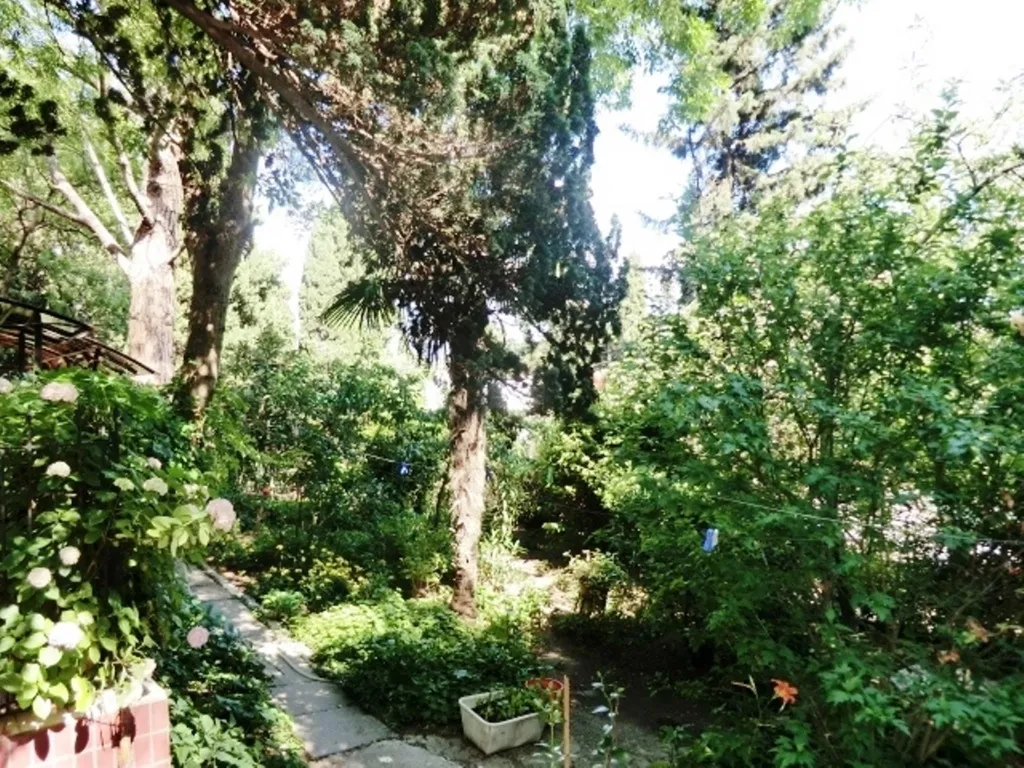 Квартира в центре Ялты в 5 минутах от моря