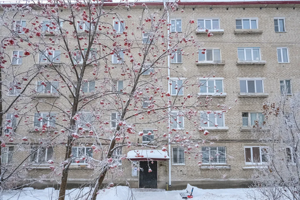 Уютная студия возле серебряного берега