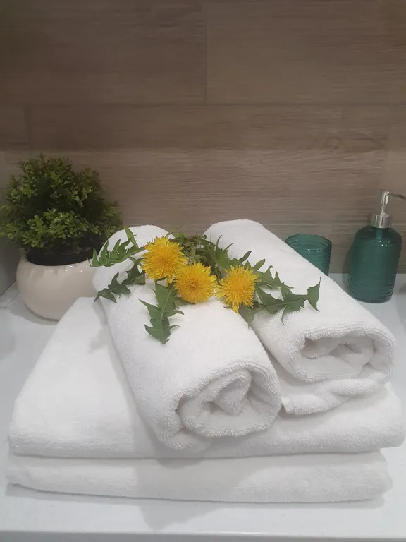 Уютная квартира рядом с аэропортом Толмачёво