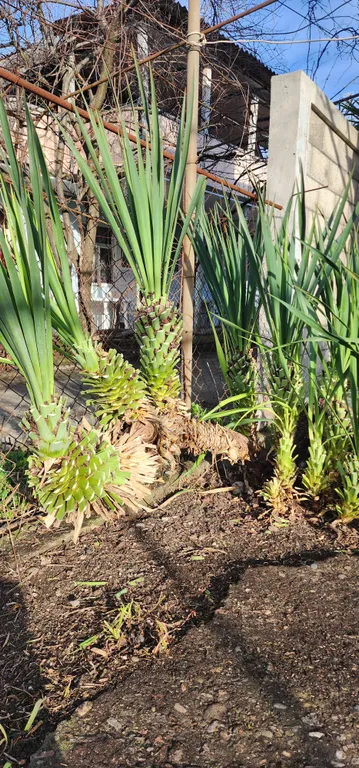 Комната прям у моря