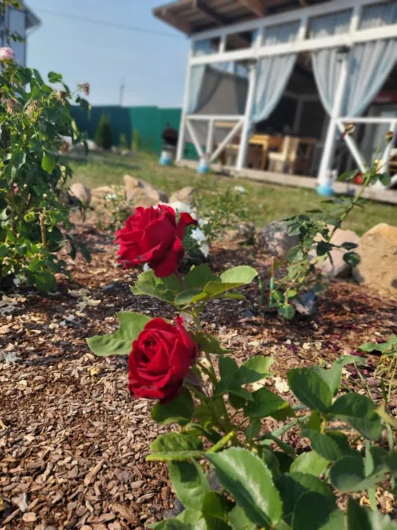 2-комнатный Дом