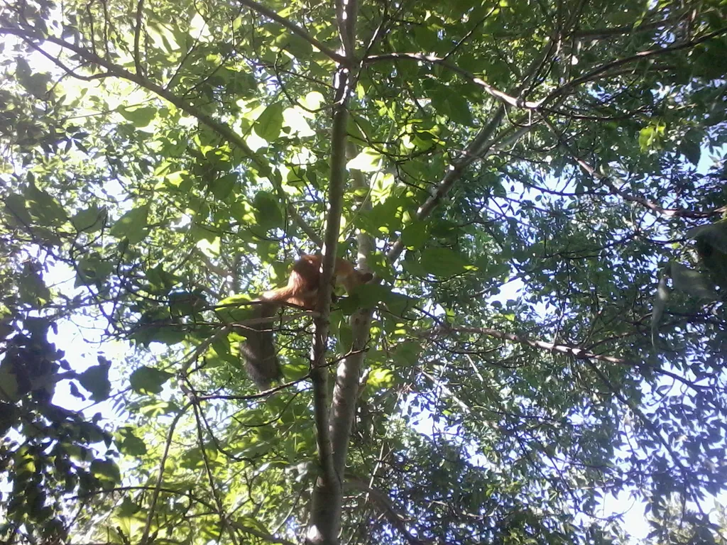 Коттедж Целый этаж в частном доме со своим садом и парковкой — Ялта