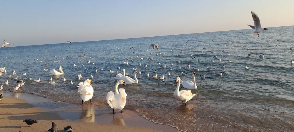 Уютная квартира, рядом с морем