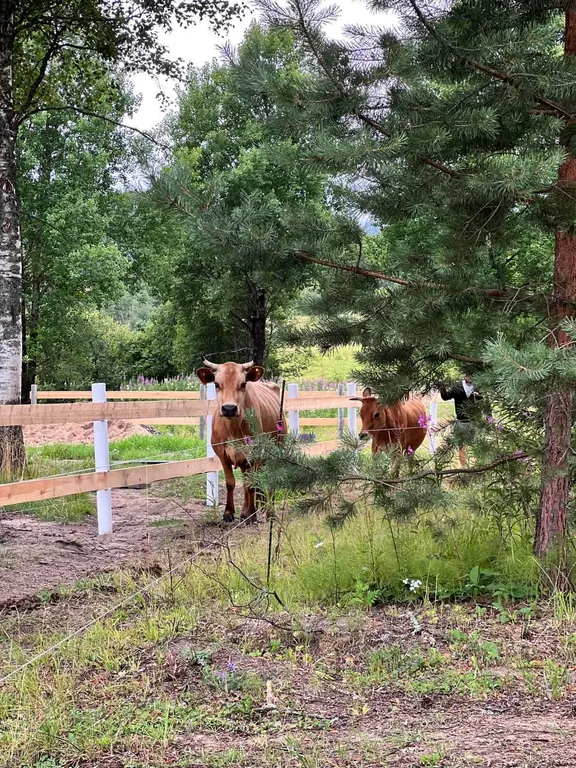 В гостях у природы
