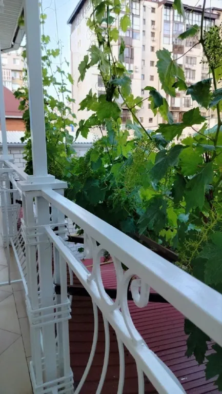 Квартира Комната — Анапа