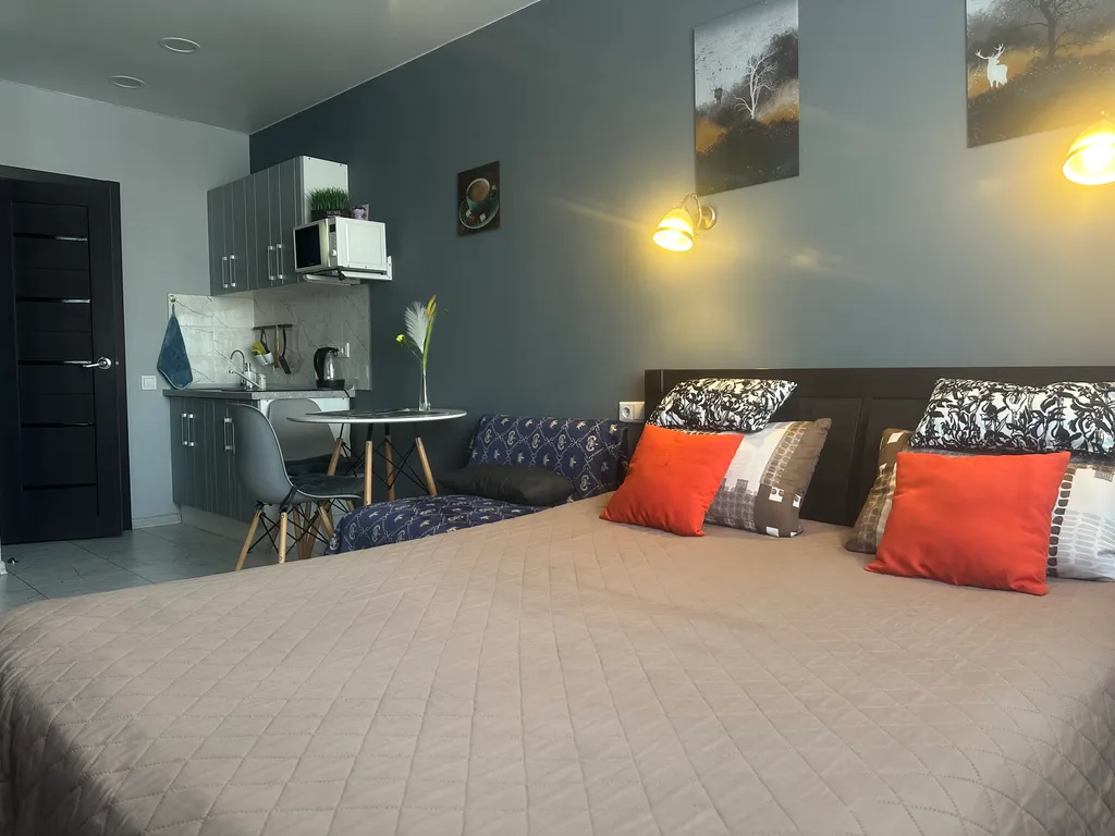 Уютная студия в центре города