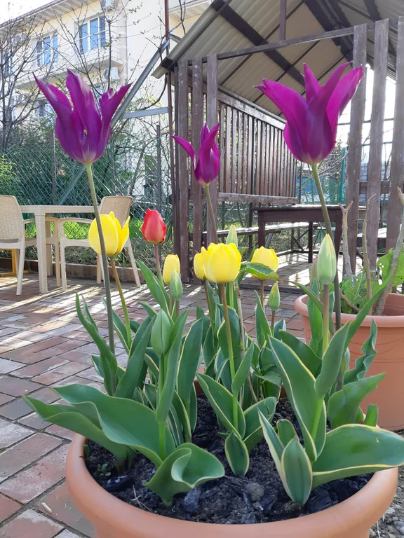 Квартира Комната — Сириус