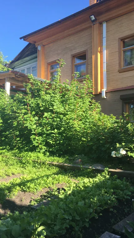 Дом с видом на Волгу, вторая линия