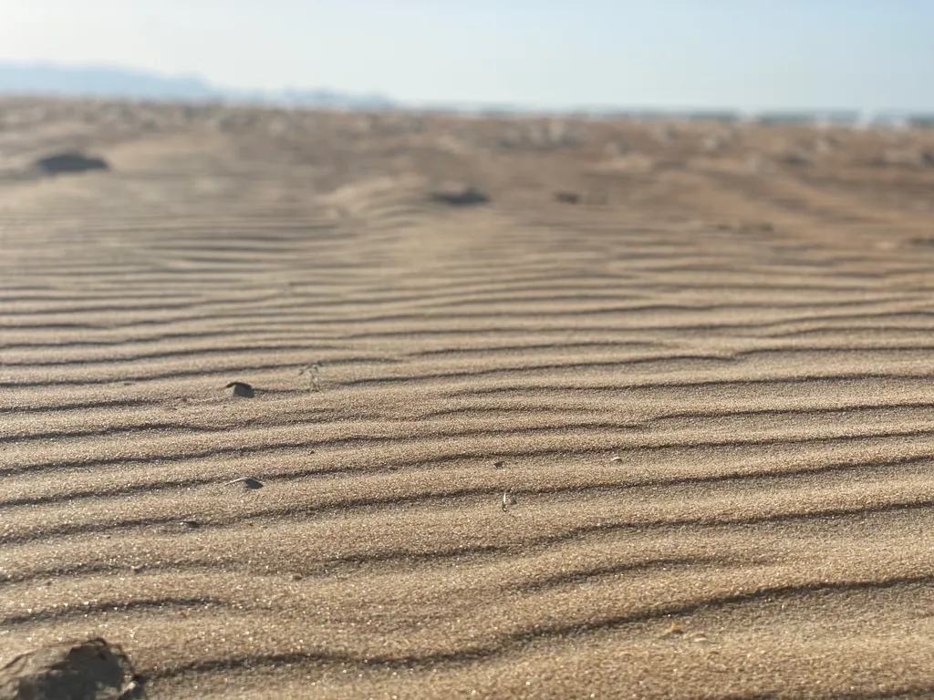 Квартира Апартаменты на первой береговой линии — Анапа