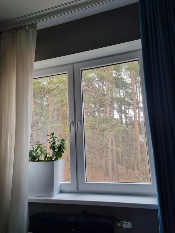 Уютный уголок около лесного озера