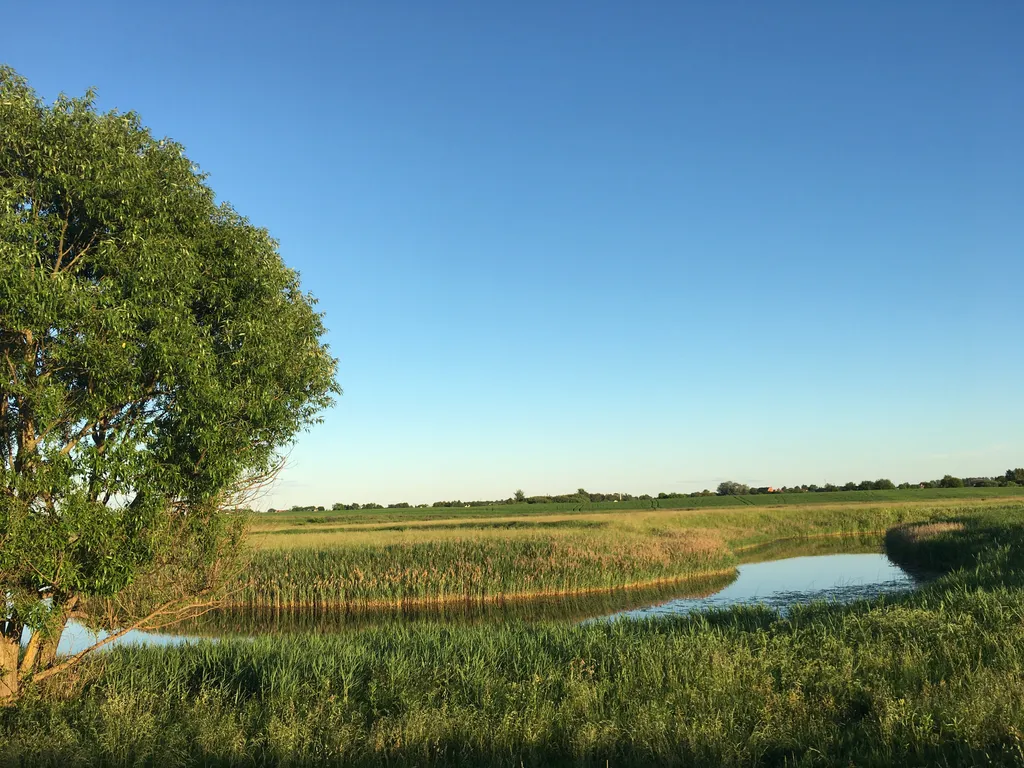 Суздальская дача у реки