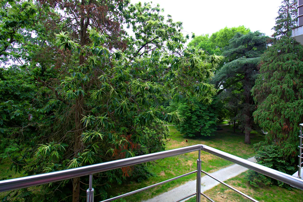 Квартира 1-комнатная Квартира — Сириус