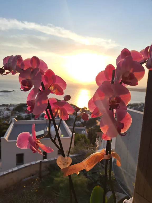 2-этажная квартира с видом на море