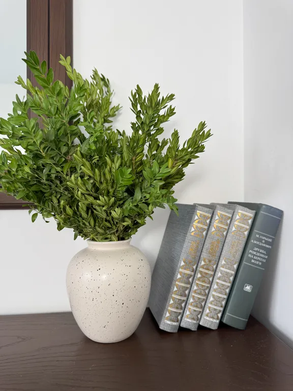 Новый дом с подогреваемым бассейном