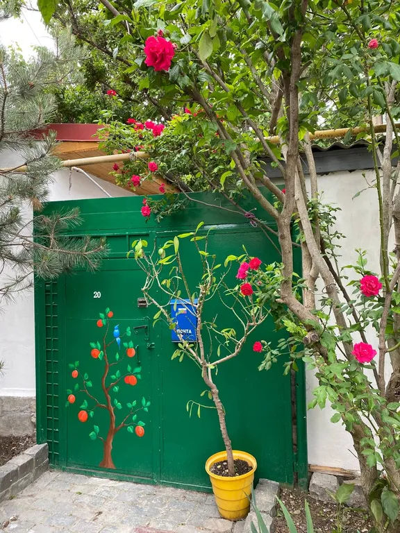 Уютный номер с удобствами рядом с морем