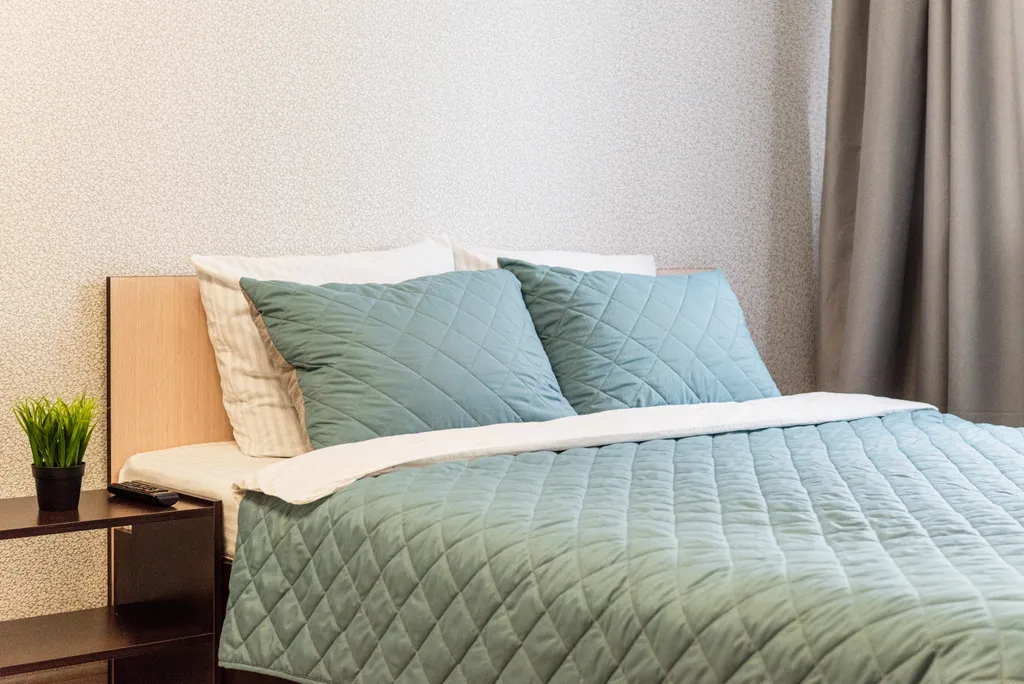 Квартира Просторная студия у Глобуса — аренда посуточно в Дядьково