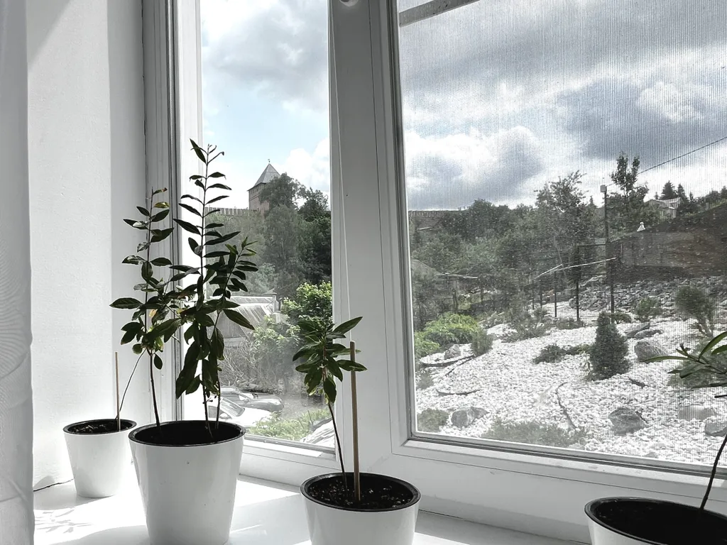 Дом в историческом центре города с прекрасным видом