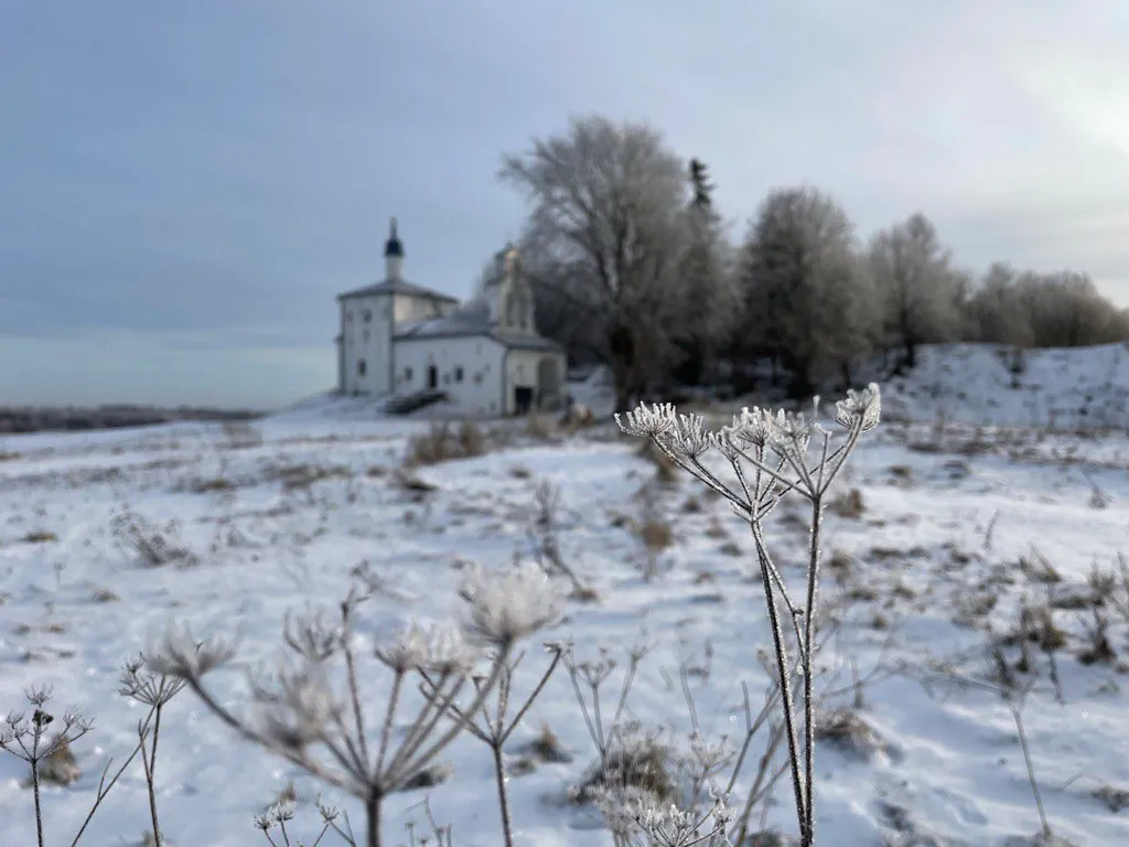 Уютный дом в Изборске