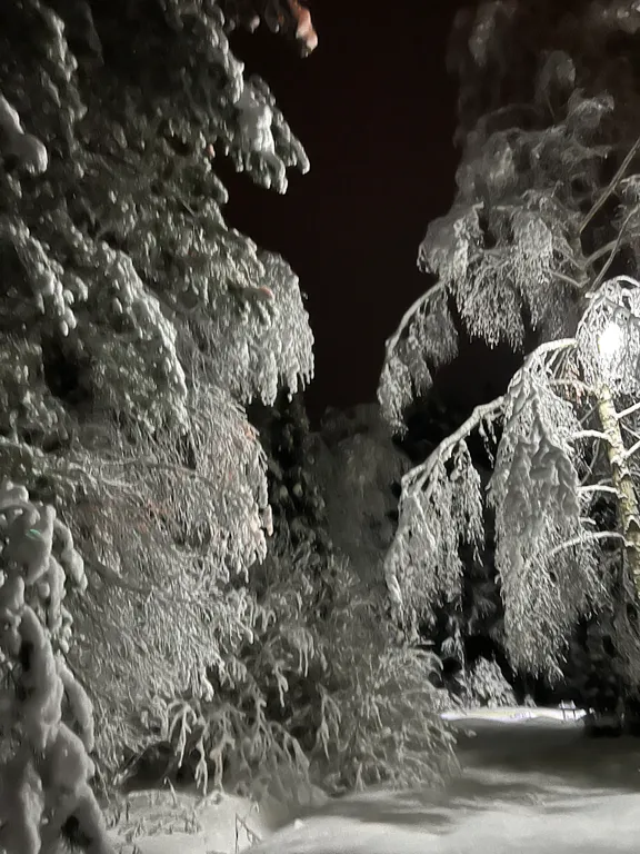 Дом Плещеево