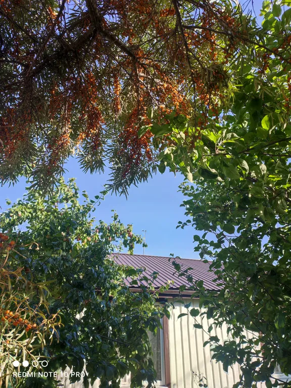 Полдома с банькой с отдельным входом