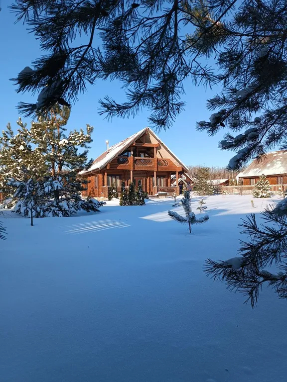 Боровики Хаус дом с камином