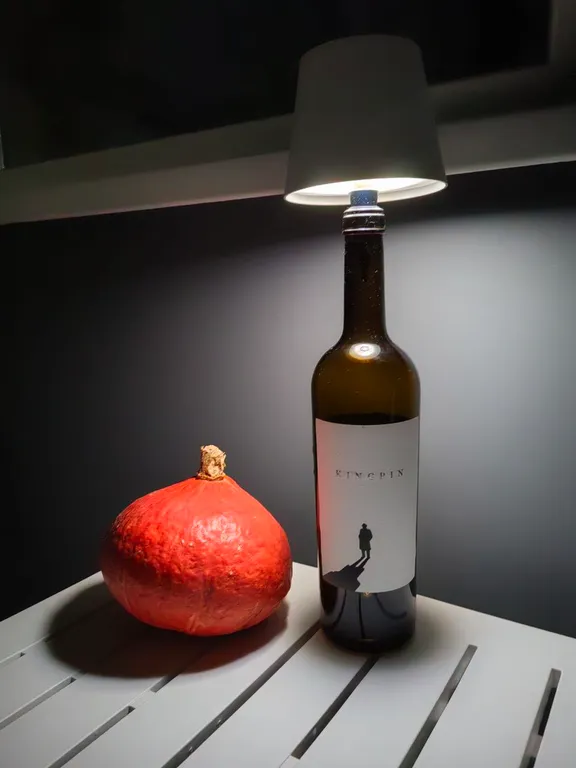 Квартира Уютная квартира с видом на парк, дистанционный заезд — Калининград