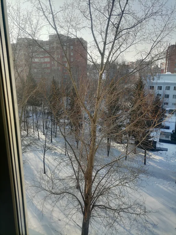 Чистая уютная квартира у парка Победы