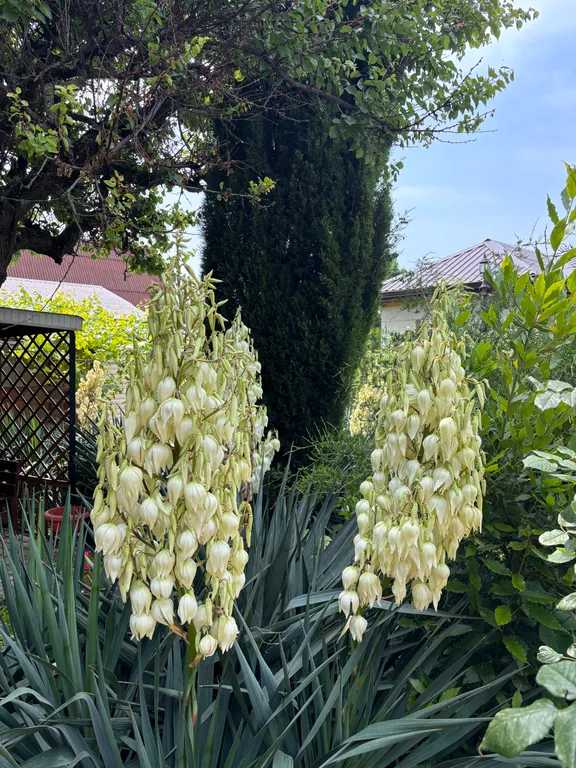 Коттедж Уютные домики в тихом микрорайоне — Геленджик