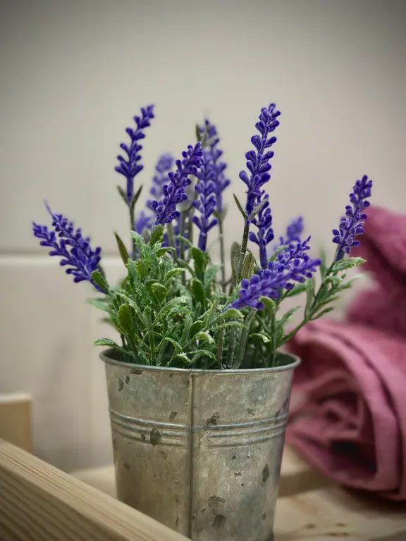 Уютная двухкомнатная квартира в центре