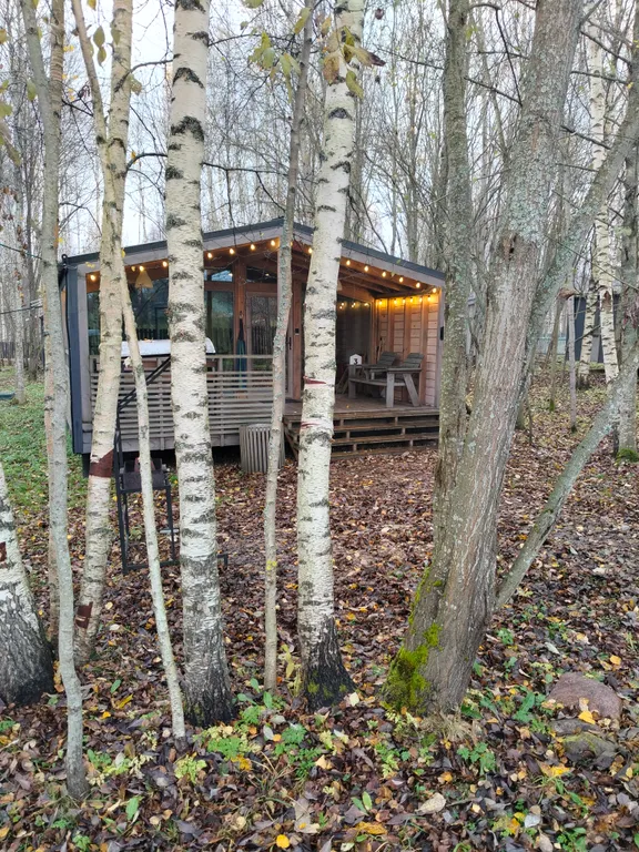 Дом с березами