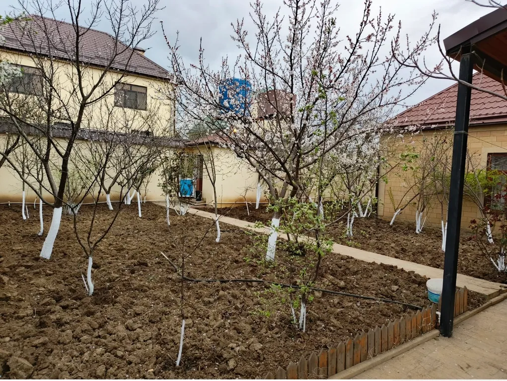 Уютная дача для семейного отдыха