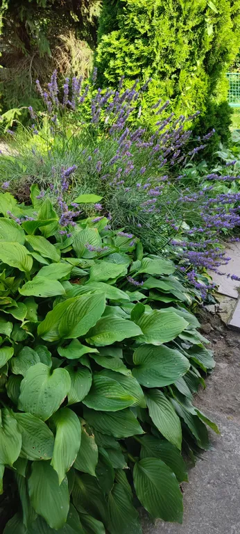 Домик рядом с пляжем